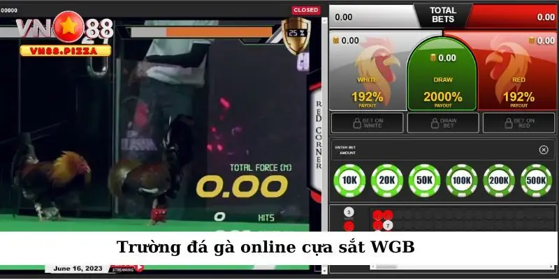 Sân chơi đá gà World Game Battle chuyên nghiệp